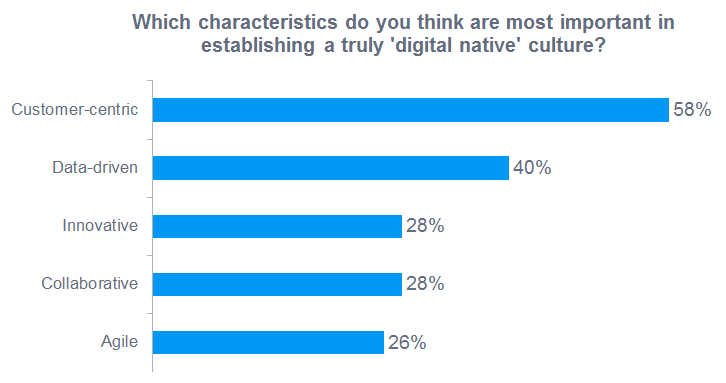 Customer-centric organizational culture characteristics